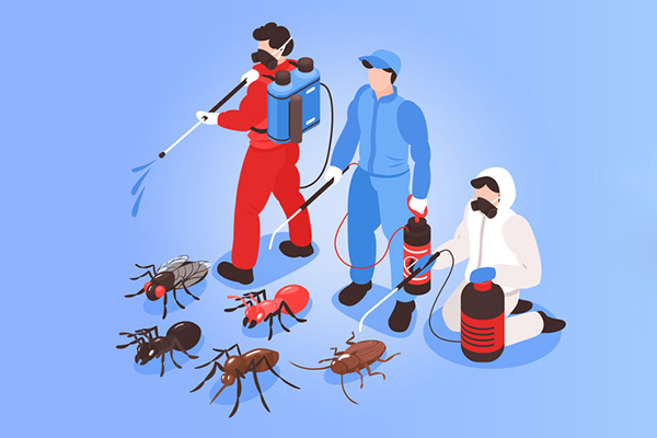 為什么說春天是消滅四害的最佳季節？