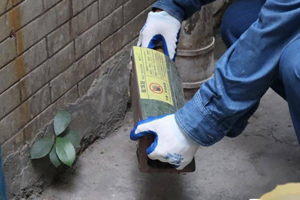 學(xué)校滅鼠,長(zhǎng)沙滅鼠,滅鼠公司,守護(hù)者生物工程