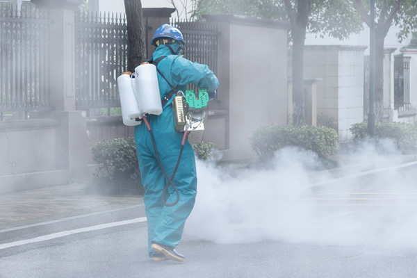 學校四害消殺，為何要選擇專業的消殺服務？