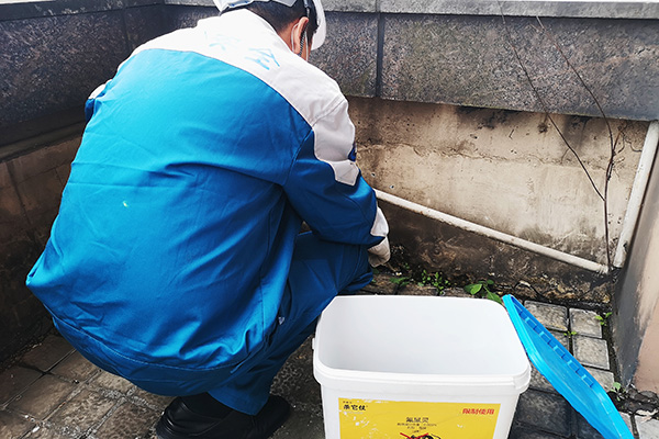 養殖場老鼠如何防治